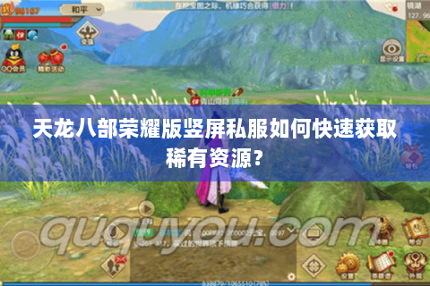 天龙八部荣耀版竖屏私服如何快速获取稀有资源？