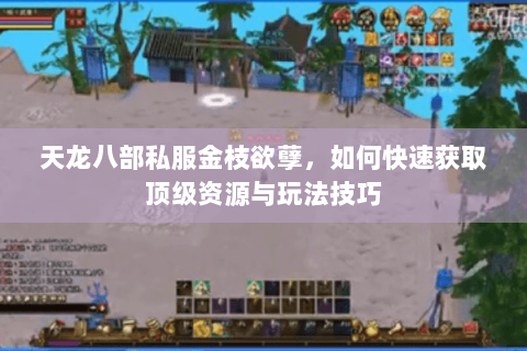 天龙八部私服金枝欲孽,如何快速获取顶级资源与玩法技巧 天龙八部私服金枝欲孽,如何快速获取顶级资源与玩法技巧