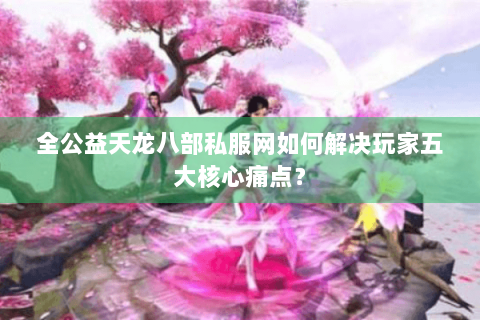 全公益天龙八部私服网如何解决玩家五大核心痛点？