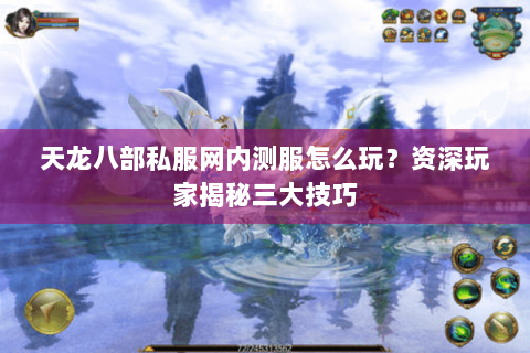 天龙八部私服网内测服怎么玩？资深玩家揭秘三大技巧