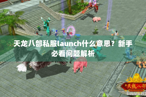 天龙八部私服launch什么意思？新手必看问题解析