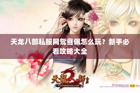 天龙八部私服网鸳鸯佩怎么玩?新手必看攻略大全 天龙八部私服网鸳鸯佩怎么玩?新手必看攻略大全