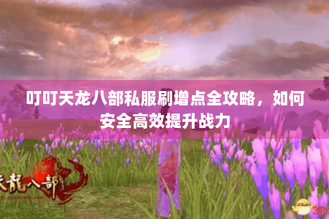 叮叮天龙八部私服刷增点全攻略，如何安全高效提升战力