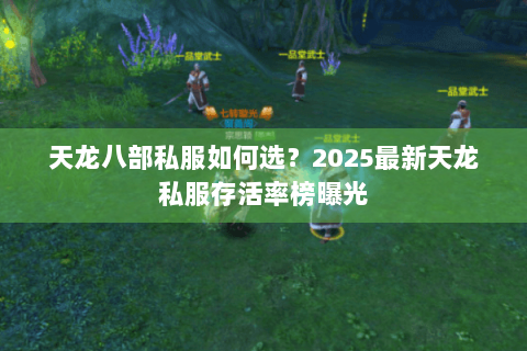 天龙八部私服如何选?2025最新天龙私服存活率榜曝光 天龙八部私服如何选?2025最新天龙私服存活率榜曝光