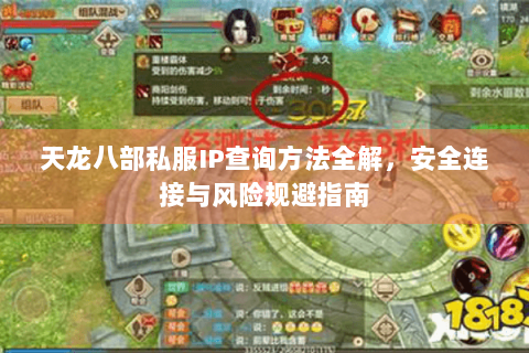 天龙八部私服IP查询方法全解,安全连接与风险规避指南 天龙八部私服IP查询方法全解,安全连接与风险规避指南