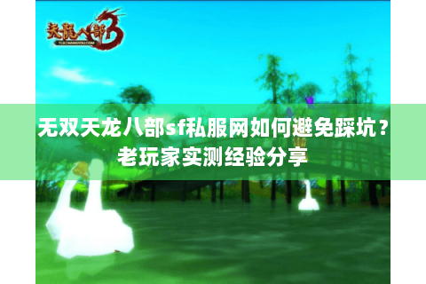 无双天龙八部sf私服网如何避免踩坑？老玩家实测经验分享