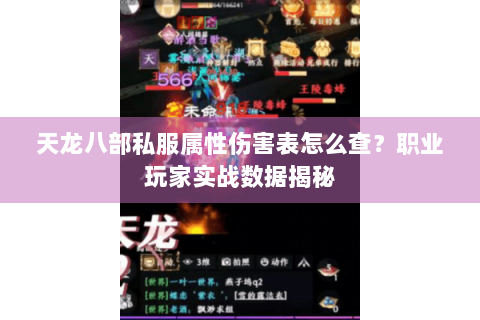 天龙八部私服属性伤害表怎么查？职业玩家实战数据揭秘