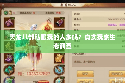 天龙八部私服玩的人多吗？真实玩家生态调查