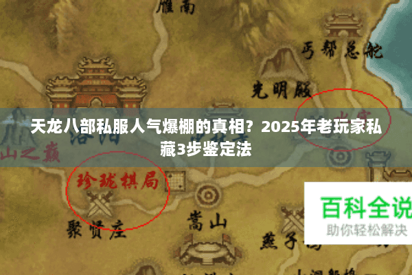 天龙八部私服人气爆棚的真相？2025年老玩家私藏3步鉴定法