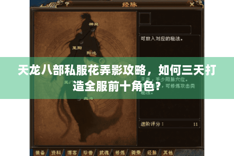 天龙八部私服花弄影攻略，如何三天打造全服前十角色？