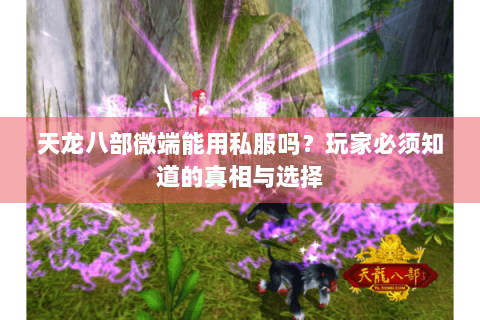 天龙八部微端能用私服吗？玩家必须知道的真相与选择