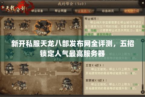 新开私服天龙八部发布网全评测，五招锁定人气最高服务器