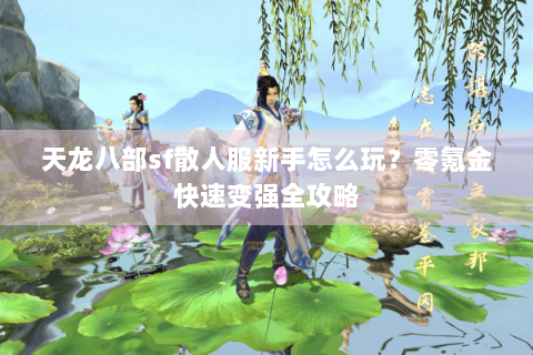 天龙八部sf散人服新手怎么玩?零氪金快速变强全攻略 天龙八部sf散人服新手怎么玩?零氪金快速变强全攻略