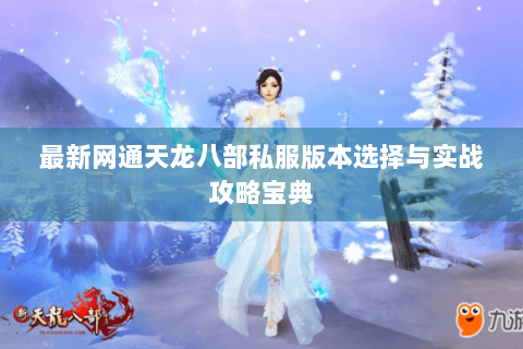 最新网通天龙八部私服版本选择与实战攻略宝典