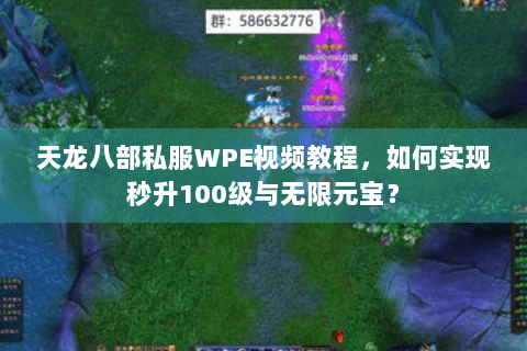 天龙八部私服WPE视频教程，如何实现秒升100级与无限元宝？