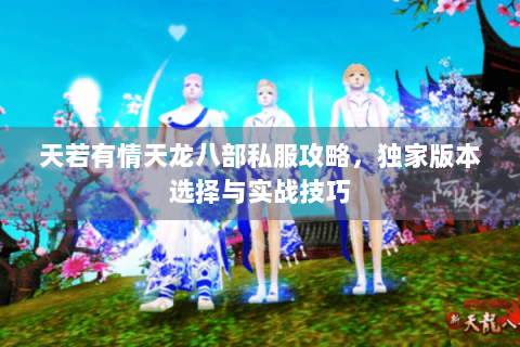 天若有情天龙八部私服攻略，独家版本选择与实战技巧