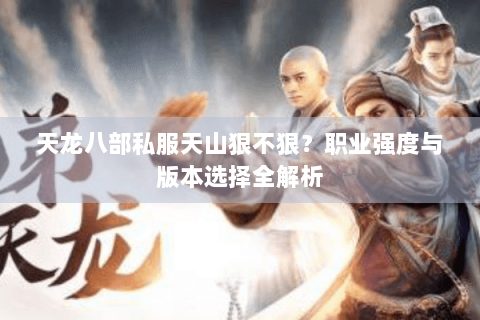 天龙八部私服天山狠不狠？职业强度与版本选择全解析