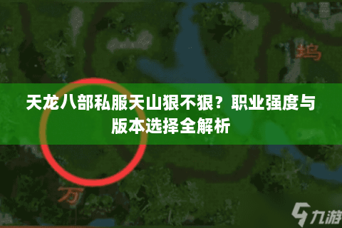 天龙八部私服天山狠不狠？职业强度与版本选择全解析