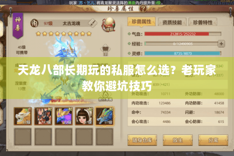 天龙八部长期玩的私服怎么选?老玩家教你避坑技巧 天龙八部长期玩的私服怎么选?老玩家教你避坑技巧