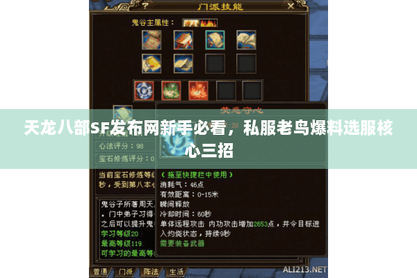 天龙八部SF发布网新手必看，私服老鸟爆料选服核心三招