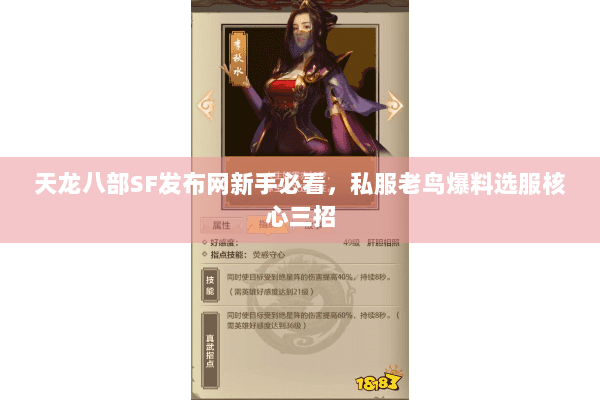 天龙八部SF发布网新手必看,私服老鸟爆料选服核心三招 天龙八部SF发布网新手必看,私服老鸟爆料选服核心三招