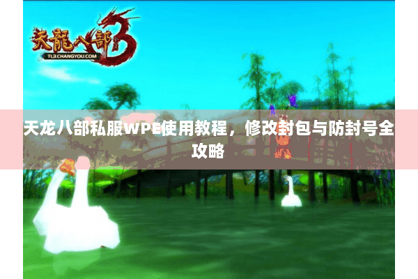 天龙八部私服WPE使用教程，修改封包与防封号全攻略