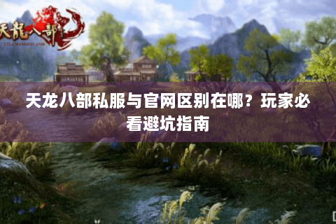 天龙八部私服与官网区别在哪？玩家必看避坑指南