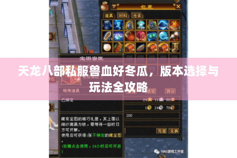 天龙八部私服兽血好冬瓜，版本选择与玩法全攻略