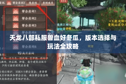 天龙八部私服兽血好冬瓜，版本选择与玩法全攻略