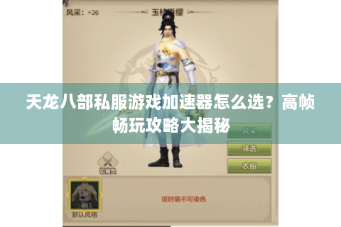 天龙八部私服游戏加速器怎么选？高帧畅玩攻略大揭秘