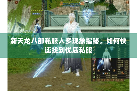 新天龙八部私服人多现象揭秘，如何快速找到优质私服