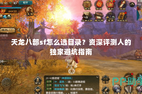 天龙八部sf怎么选目录？资深评测人的独家避坑指南