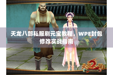 天龙八部私服刷元宝教程,WPE封包修改实战指南 天龙八部私服刷元宝教程,WPE封包修改实战指南