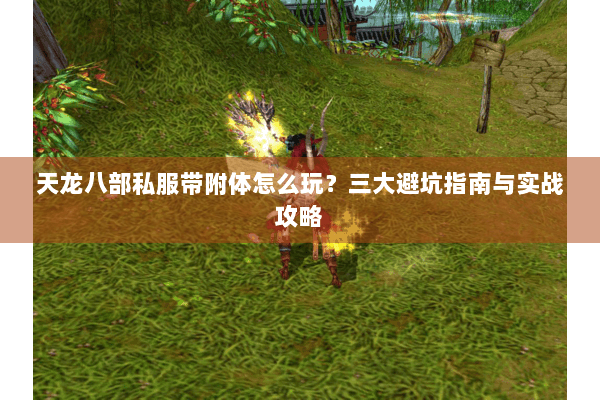 天龙八部私服带附体怎么玩?三大避坑指南与实战攻略 天龙八部私服带附体怎么玩?三大避坑指南与实战攻略