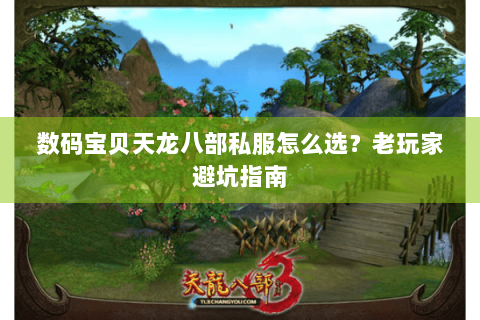 数码宝贝天龙八部私服怎么选？老玩家避坑指南