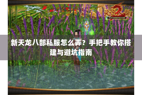 新天龙八部私服怎么弄？手把手教你搭建与避坑指南