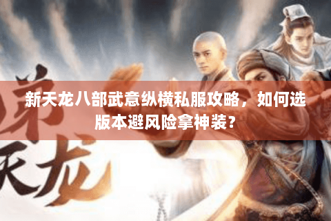 新天龙八部武意纵横私服攻略，如何选版本避风险拿神装？