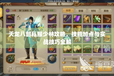 天龙八部私服少林攻略，技能加点与实战技巧全解