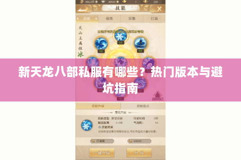 新天龙八部私服有哪些？热门版本与避坑指南