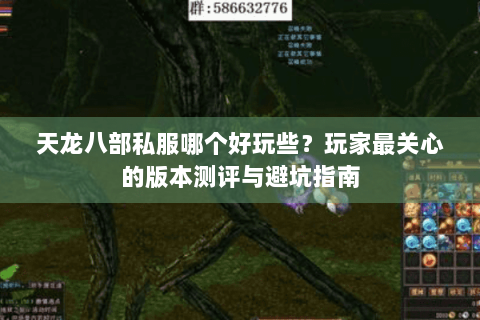 天龙八部私服哪个好玩些？玩家最关心的版本测评与避坑指南