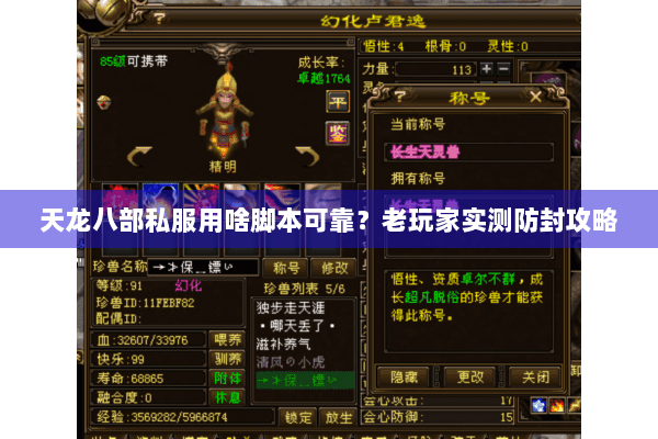 天龙八部私服用啥脚本可靠？老玩家实测防封攻略