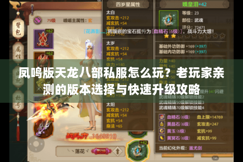 凤鸣版天龙八部私服怎么玩?老玩家亲测的版本选择与快速升级攻略 凤鸣版天龙八部私服怎么玩?老玩家亲测的版本选择与快速升级攻略