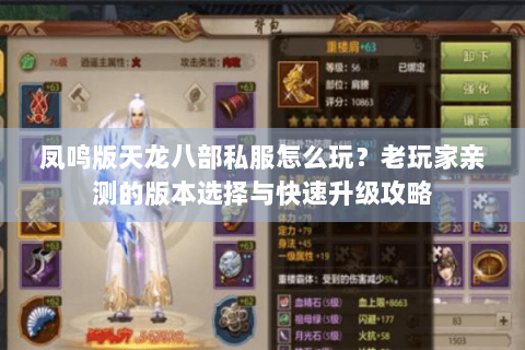 凤鸣版天龙八部私服怎么玩?老玩家亲测的版本选择与快速升级攻略 凤鸣版天龙八部私服怎么玩?老玩家亲测的版本选择与快速升级攻略