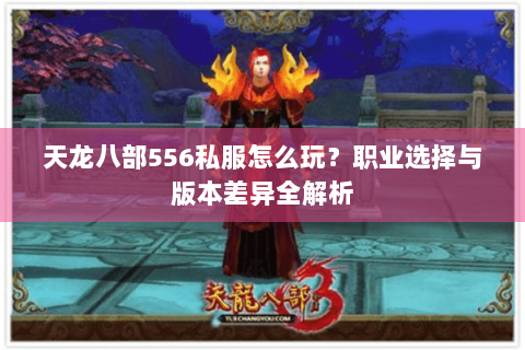 天龙八部556私服怎么玩？职业选择与版本差异全解析