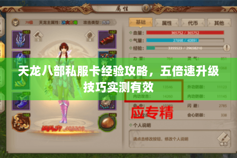 天龙八部私服卡经验攻略,五倍速升级技巧实测有效 天龙八部私服卡经验攻略,五倍速升级技巧实测有效