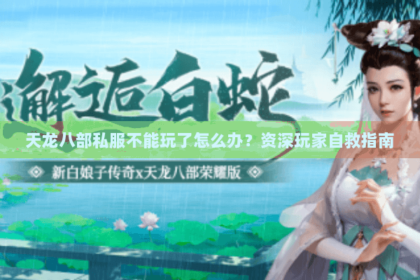 天龙八部私服不能玩了怎么办?资深玩家自救指南 天龙八部私服不能玩了怎么办?资深玩家自救指南