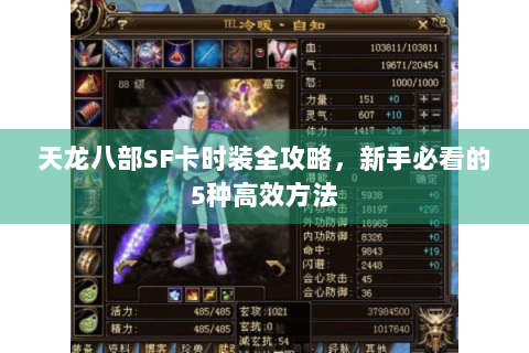 天龙八部SF卡时装全攻略,新手必看的5种高效方法 天龙八部SF卡时装全攻略,新手必看的5种高效方法