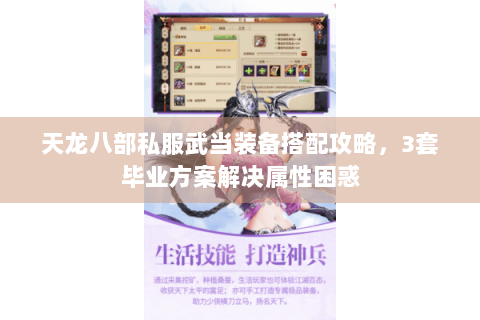 天龙八部私服武当装备搭配攻略，3套毕业方案解决属性困惑