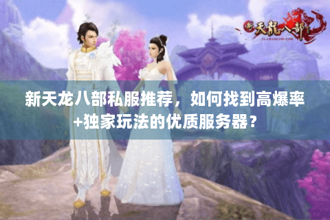 新天龙八部私服推荐，如何找到高爆率+独家玩法的优质服务器？