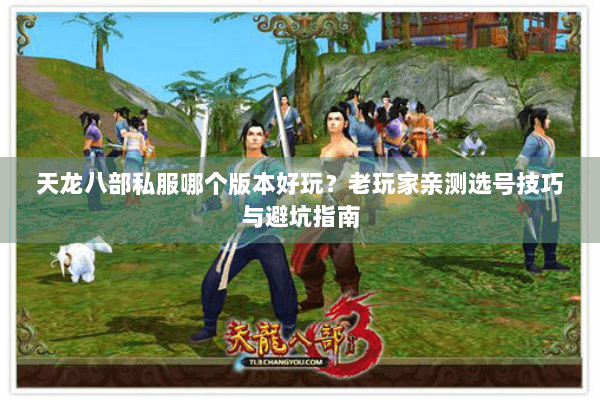天龙八部私服哪个版本好玩？老玩家亲测选号技巧与避坑指南